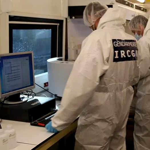 L’enquête des scientifiques